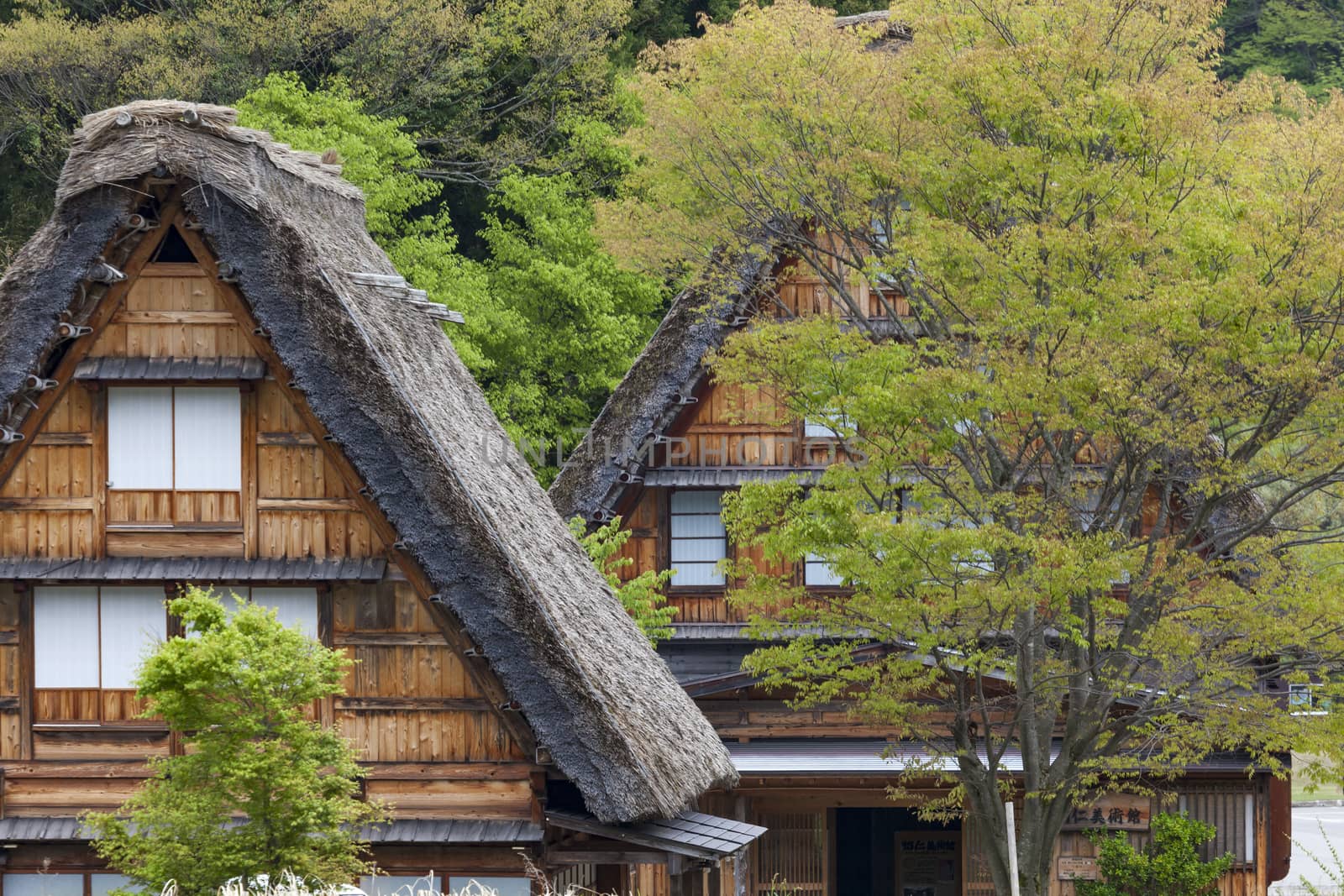 Traditional and Historical Japanese village Ogimachi - Shirakawa-go, Japan

