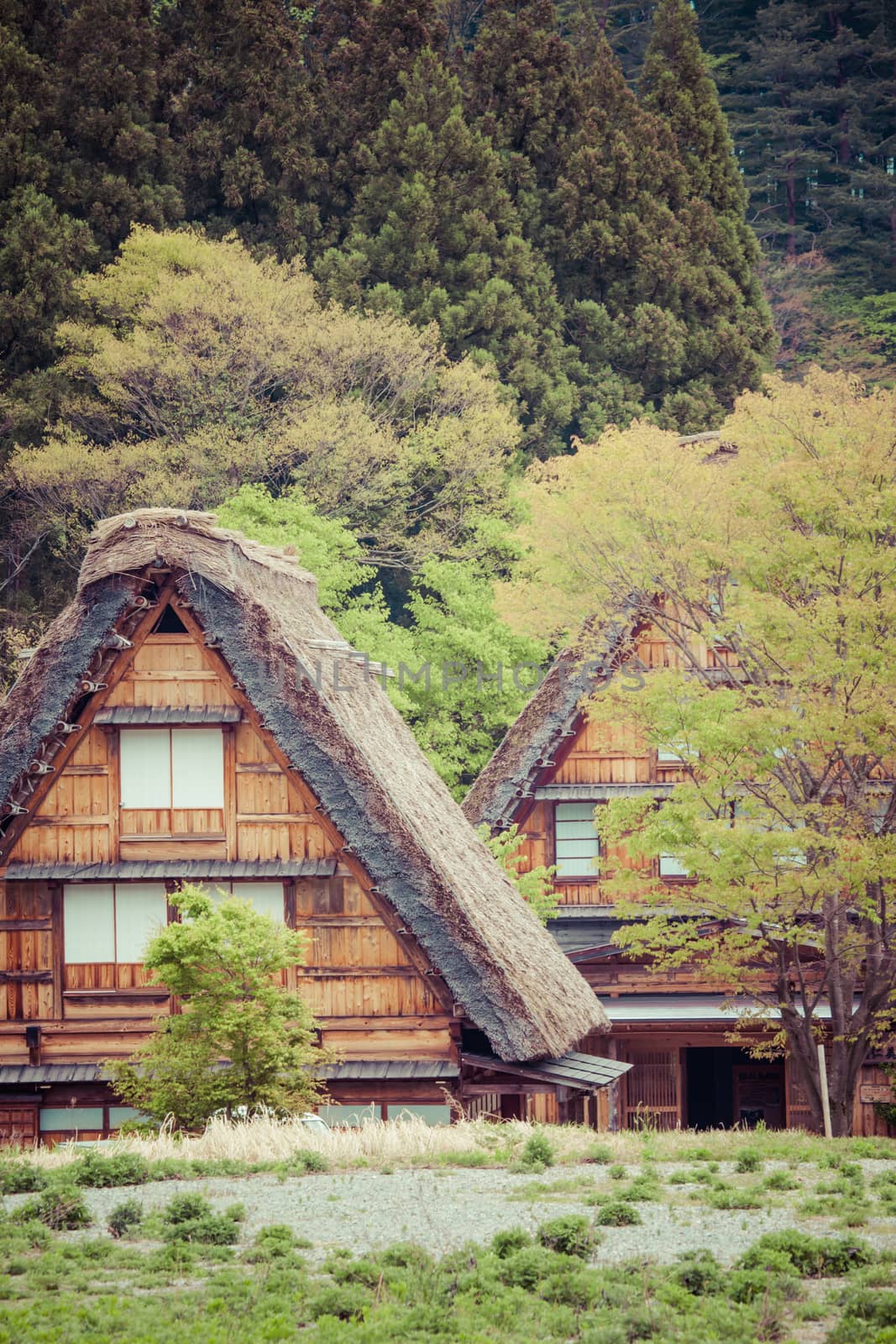 Traditional and Historical Japanese village Ogimachi - Shirakawa-go, Japan 