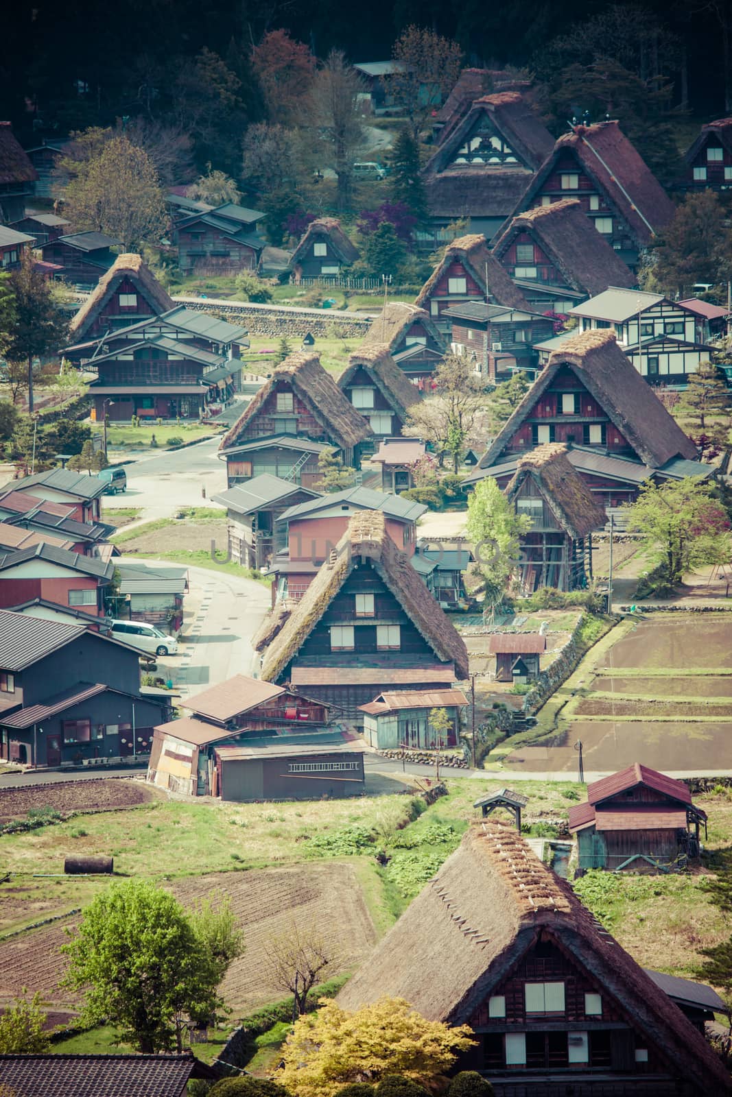 Traditional and Historical Japanese village Ogimachi - Shirakawa-go, Japan  by mariusz_prusaczyk