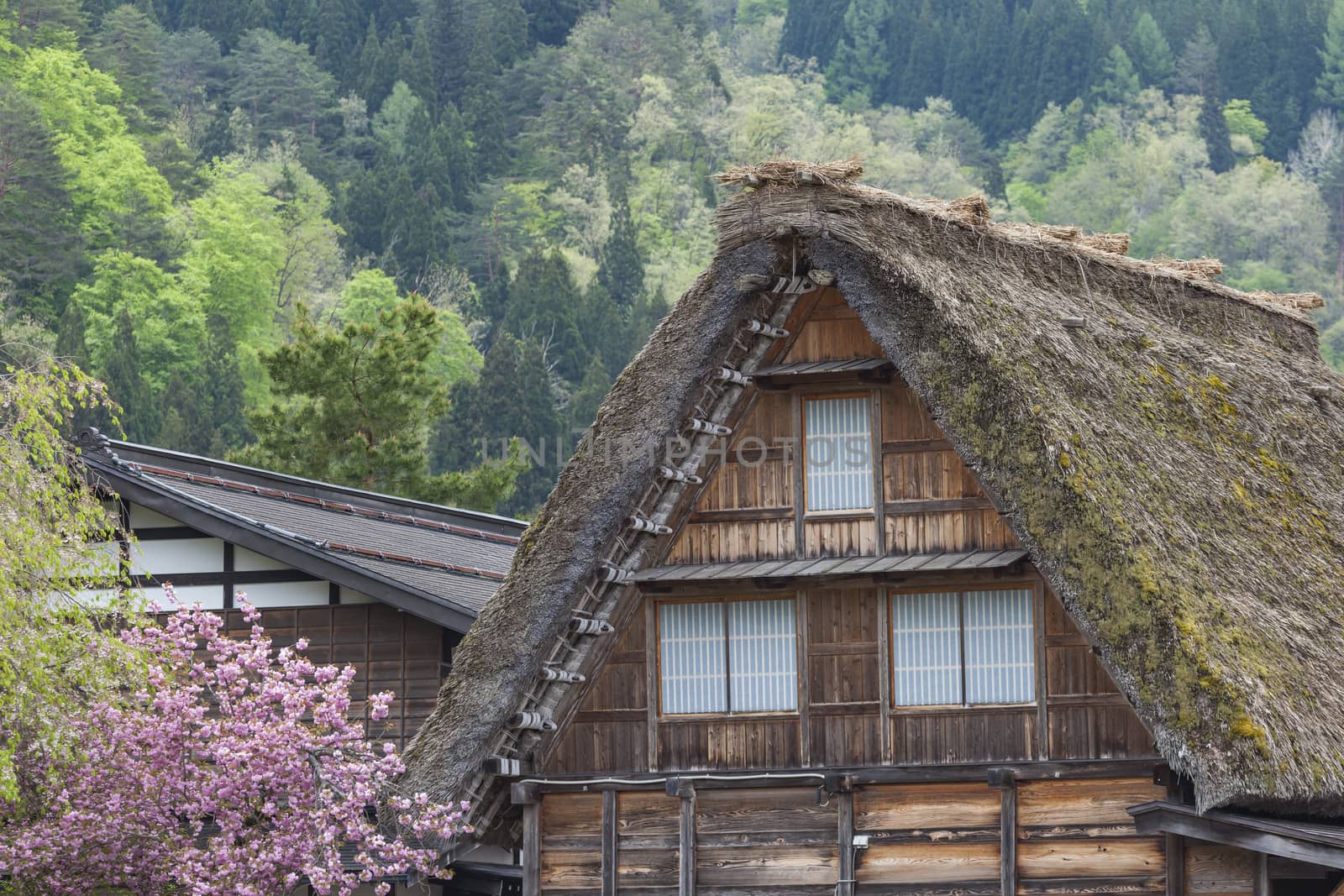 Traditional and Historical Japanese village Ogimachi - Shirakawa-go, Japan

