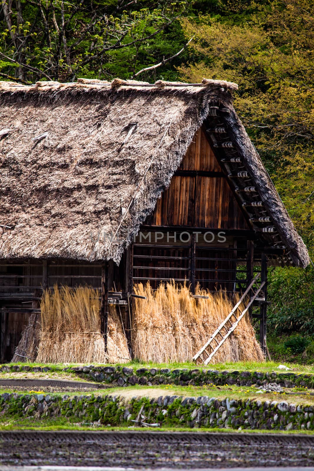 Traditional and Historical Japanese village Ogimachi - Shirakawa-go, Japan  by mariusz_prusaczyk