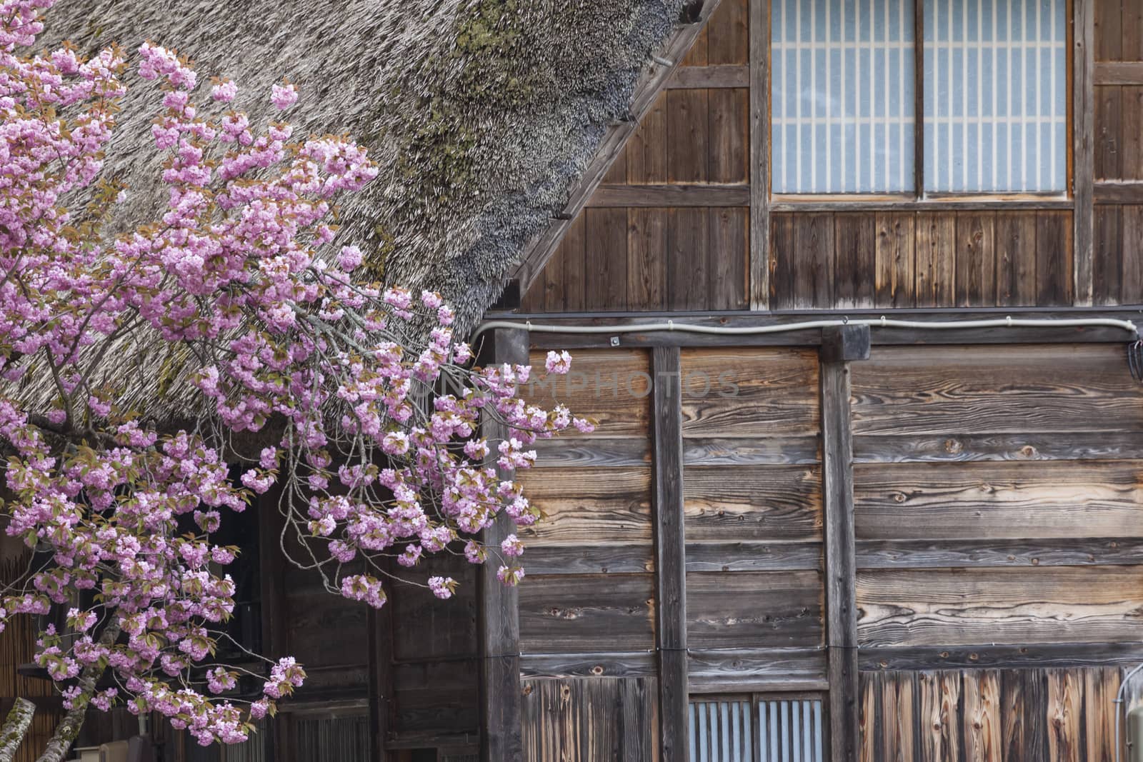 Traditional and Historical Japanese village Ogimachi - Shirakawa-go, Japan

