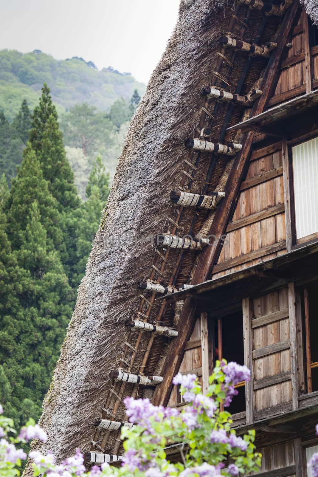 Traditional and Historical Japanese village Ogimachi - Shirakawa-go, Japan

