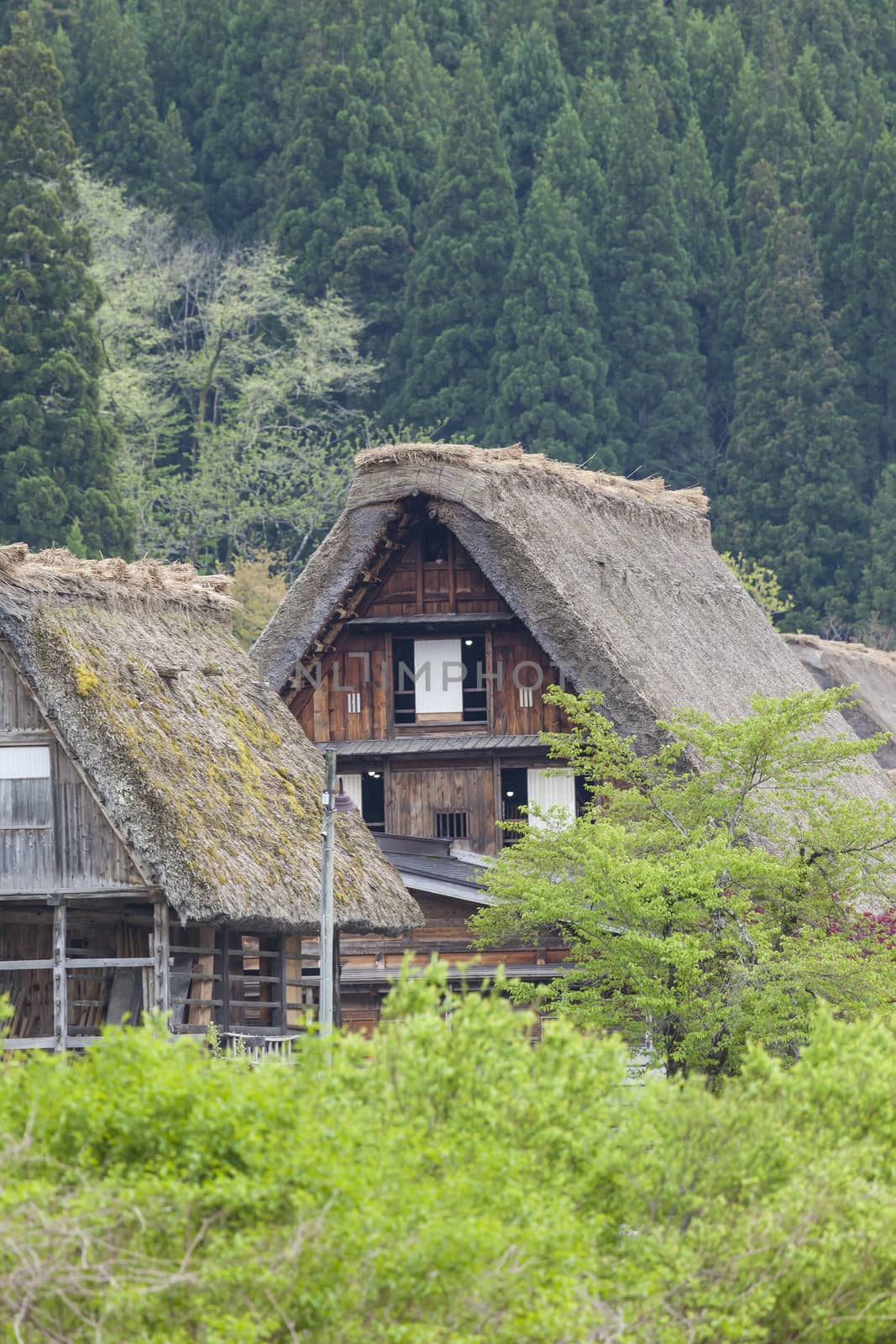 Traditional and Historical Japanese village Ogimachi - Shirakawa by mariusz_prusaczyk