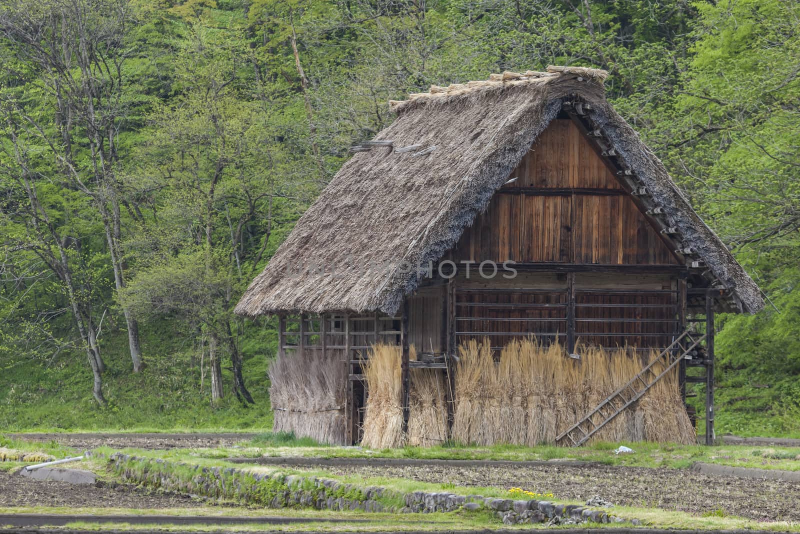 Traditional and Historical Japanese village Ogimachi - Shirakawa-go, Japan

