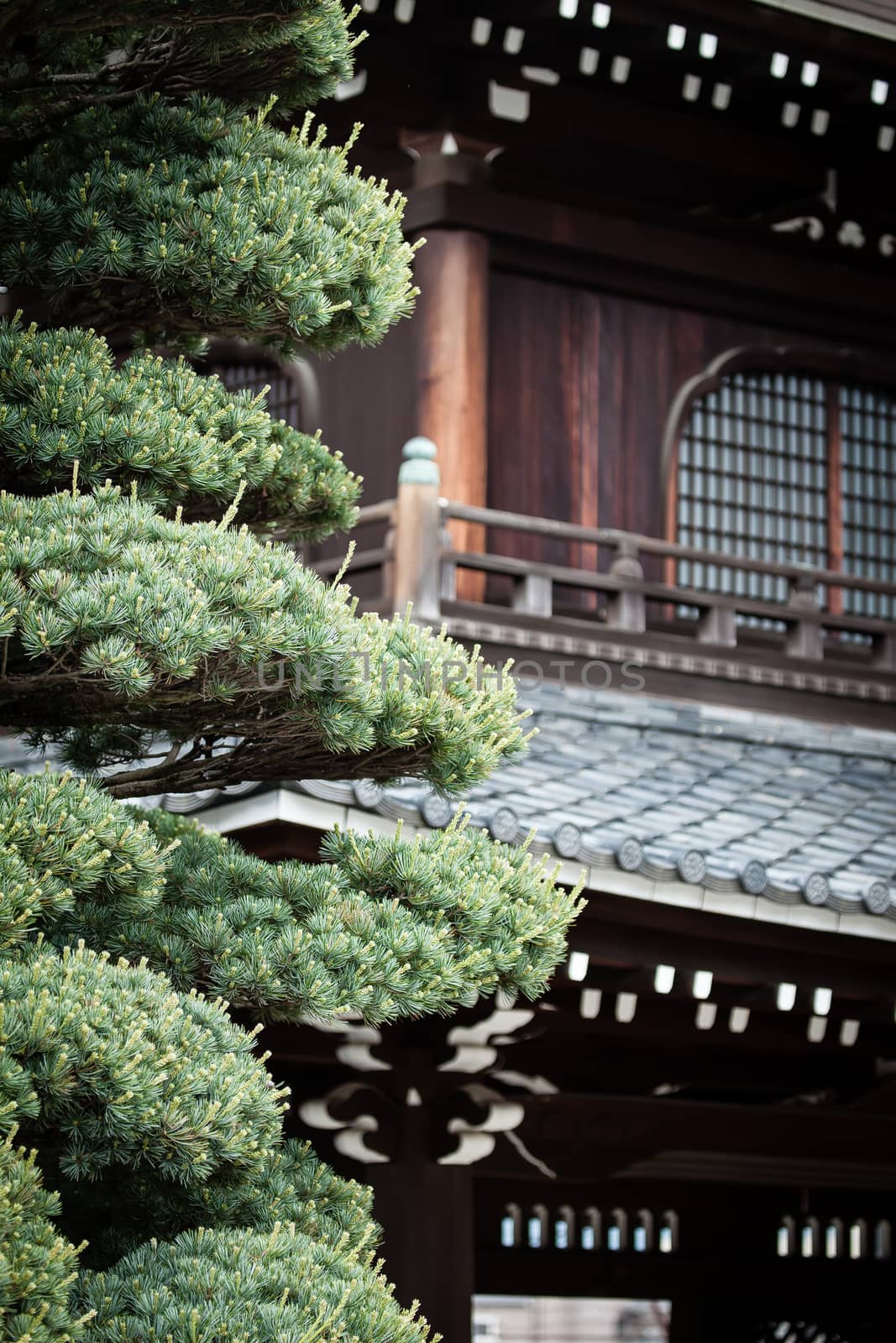 Traditional temple in Kyoto, Japan by mariusz_prusaczyk