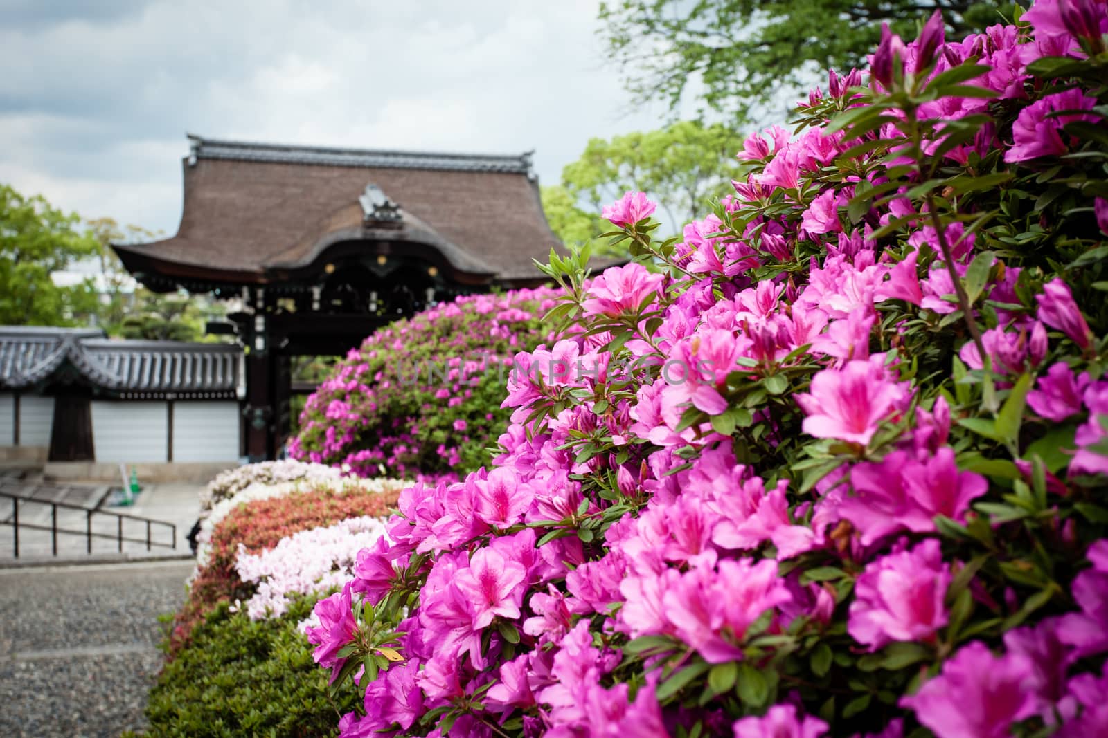 Traditional temple in Kyoto, Japan by mariusz_prusaczyk