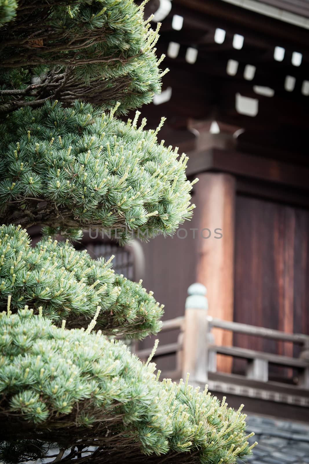 Traditional temple in Kyoto, Japan by mariusz_prusaczyk