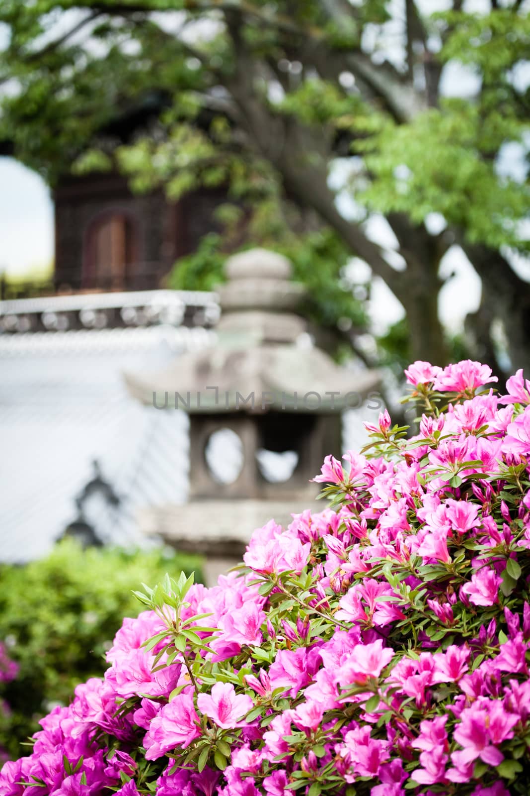 Traditional temple in Kyoto, Japan