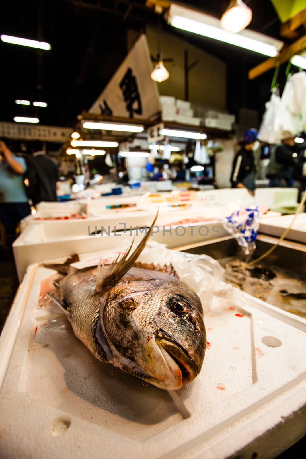  Tsukiji Fish Market, Japan. by mariusz_prusaczyk