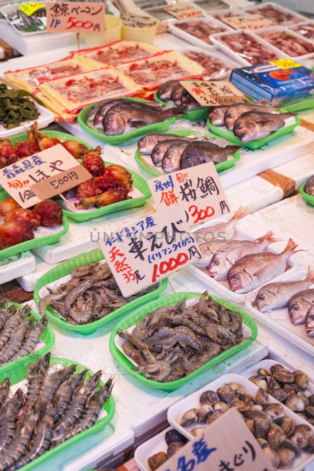 Tsukiji Fish Market, Japan. by mariusz_prusaczyk