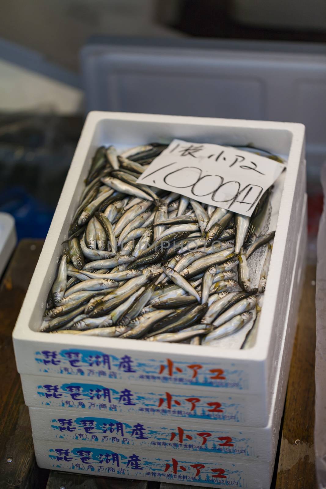 Tsukiji Fish Market, Japan.