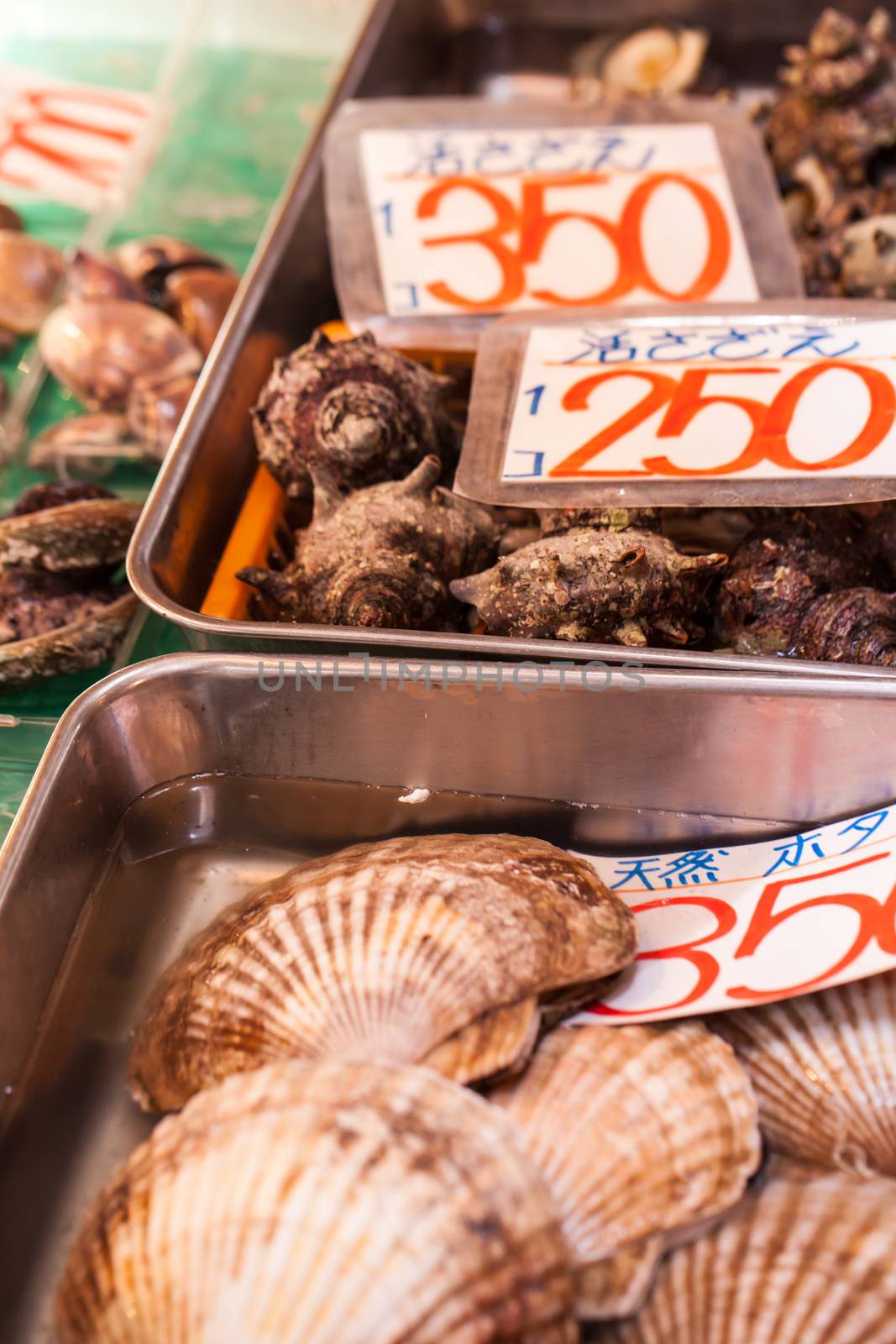  Tsukiji Fish Market, Japan. by mariusz_prusaczyk