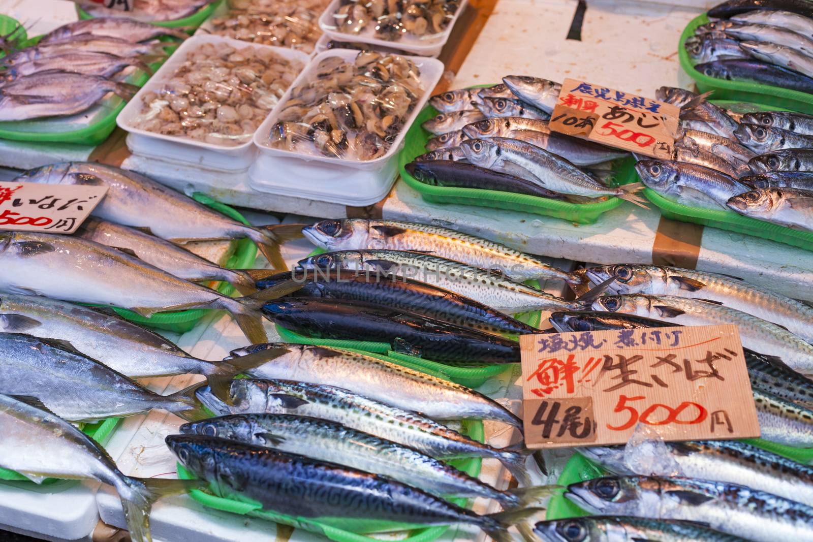 Tsukiji Fish Market, Japan.