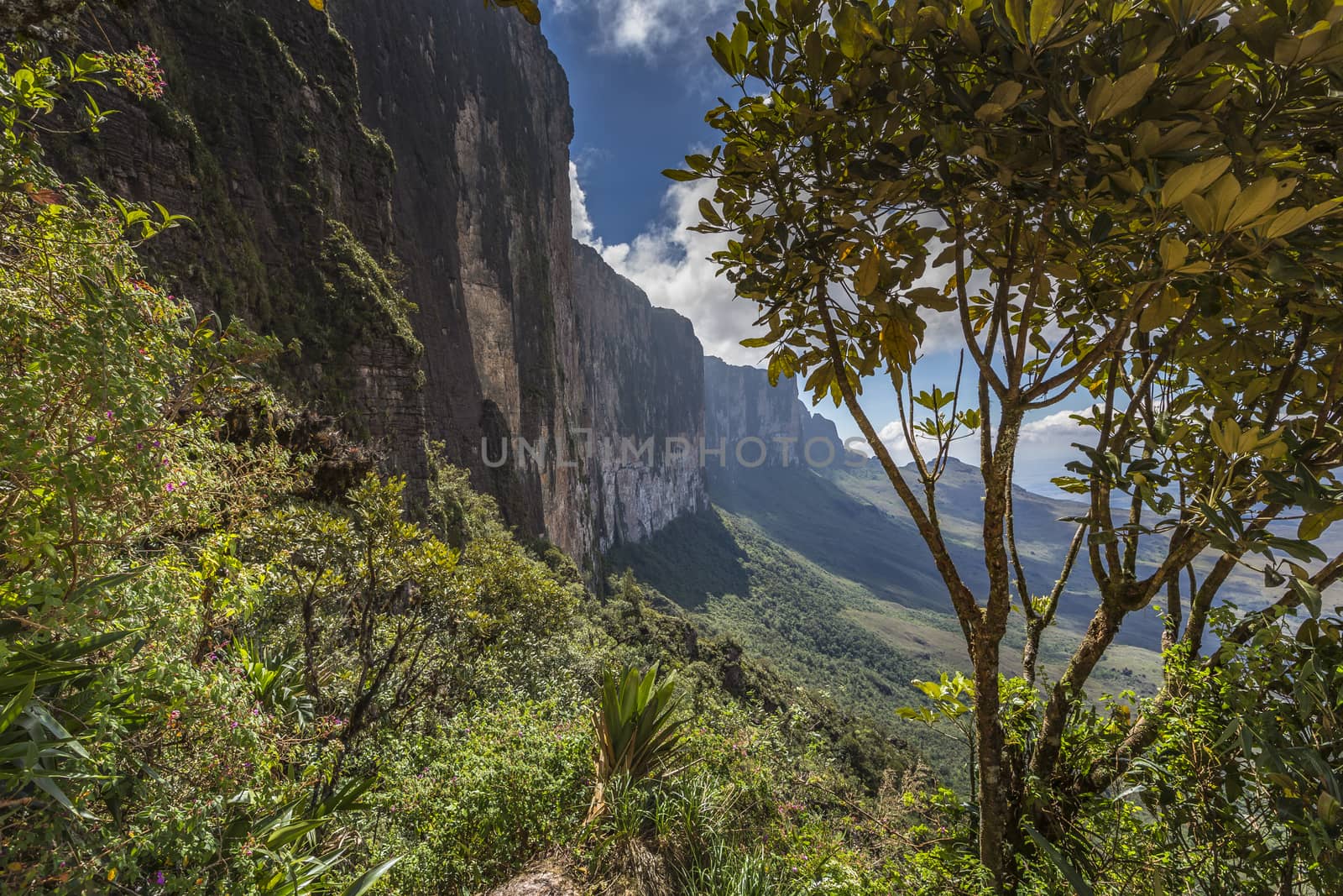 Trail down from the plateau Roraima passes under a falls - Venez by mariusz_prusaczyk