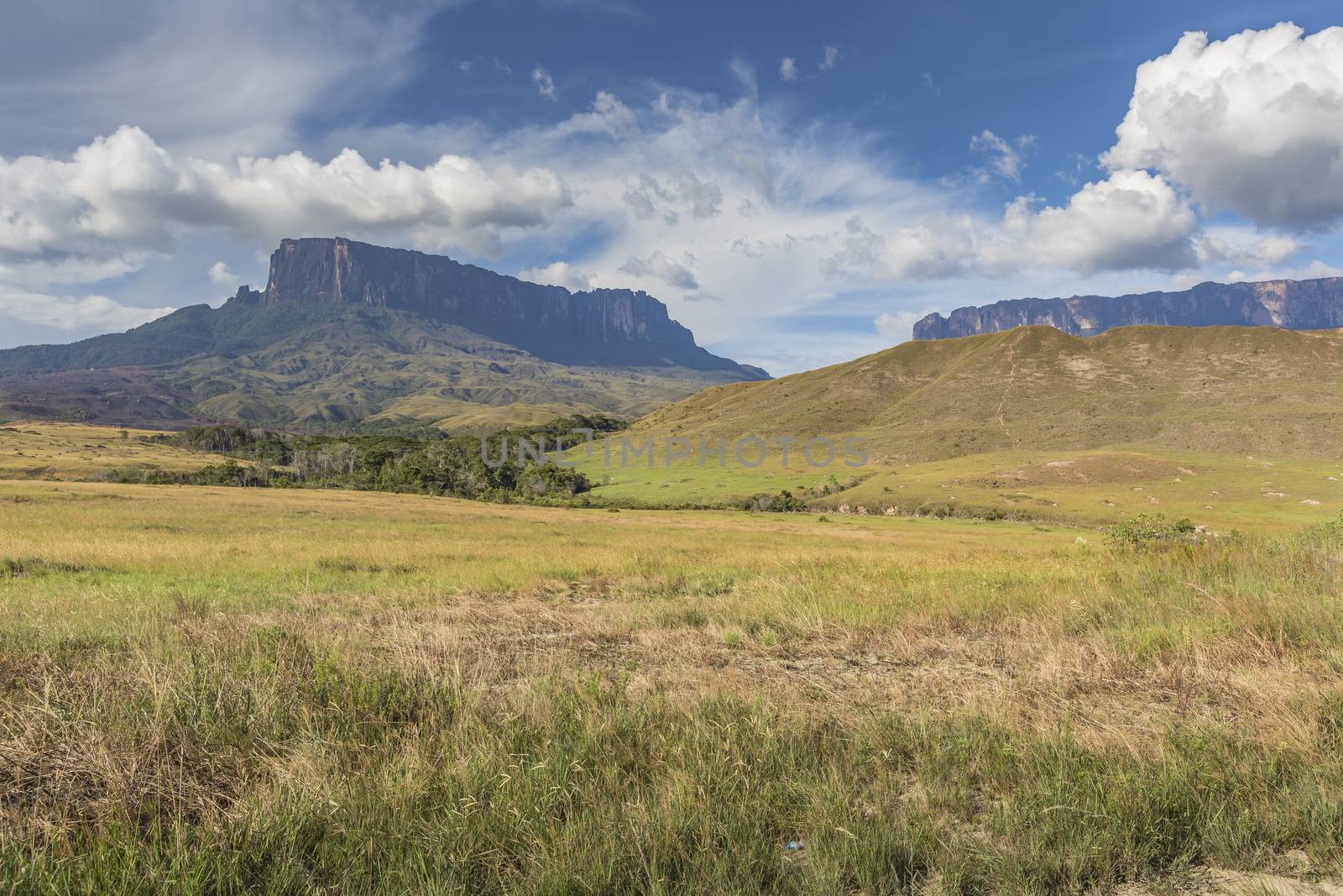 Tablemountain Roraima with clouds, Venezuela, Latin America.

