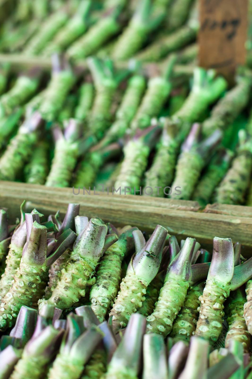 Wasabi root for sale in a typical japanese market  by mariusz_prusaczyk