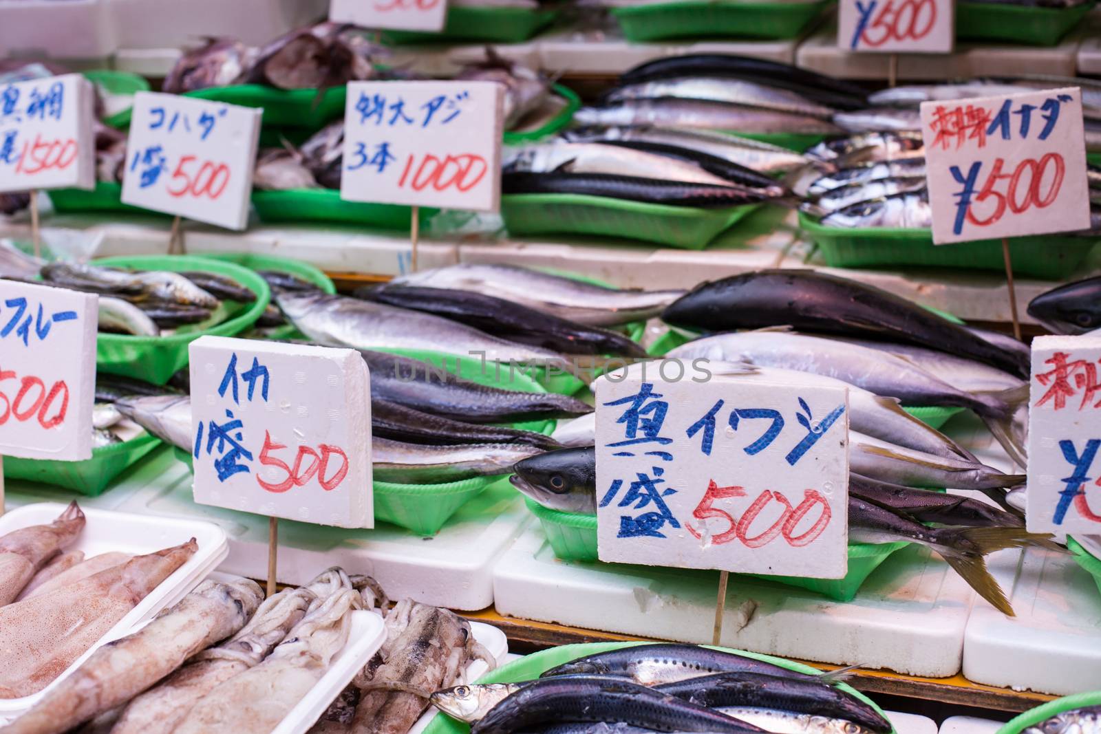  Tsukiji Fish Market, Japan. by mariusz_prusaczyk