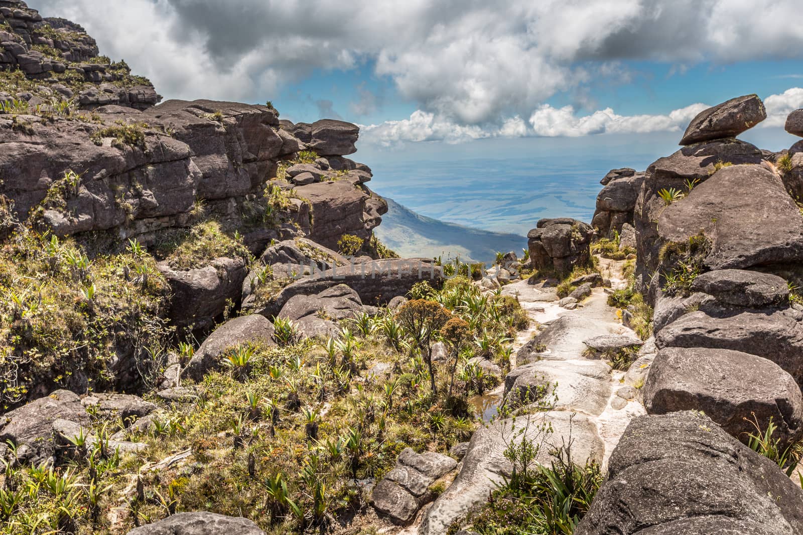 Bizarre ancient rocks of the plateau Roraima tepui - Venezuela, Latin America  by mariusz_prusaczyk