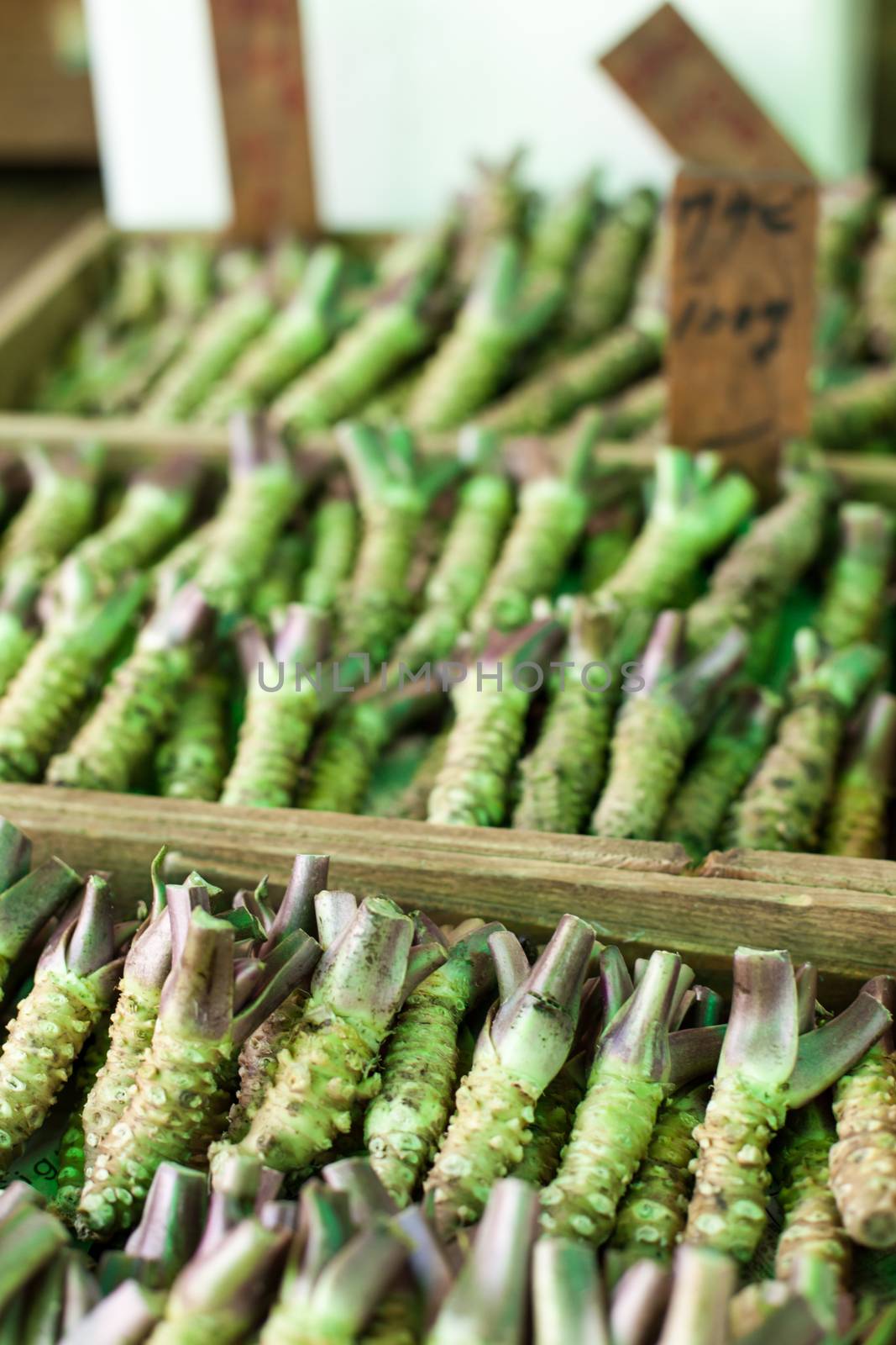 Wasabi root for sale in a typical japanese market 