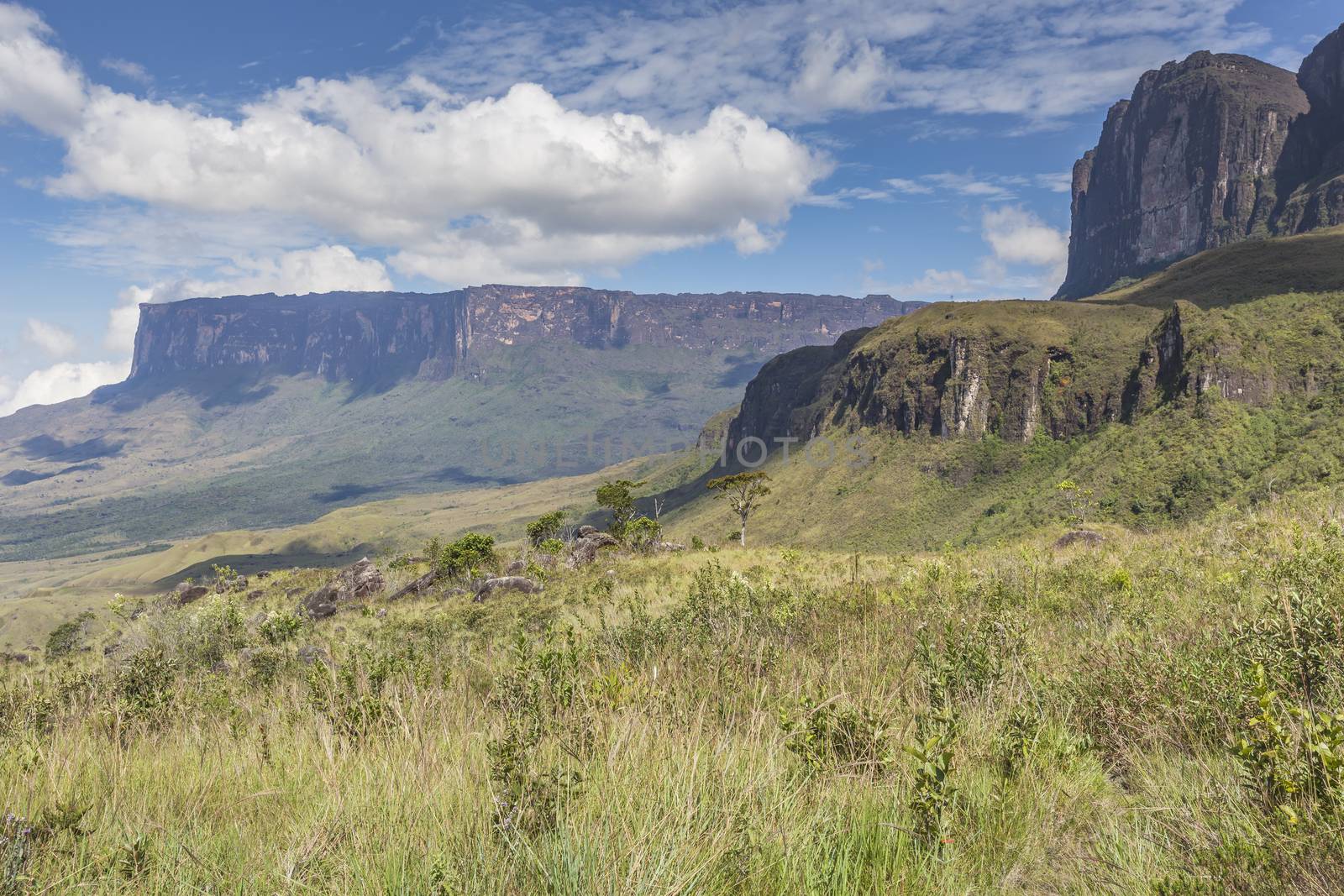 Tablemountain Roraima with clouds, Venezuela, Latin America.

