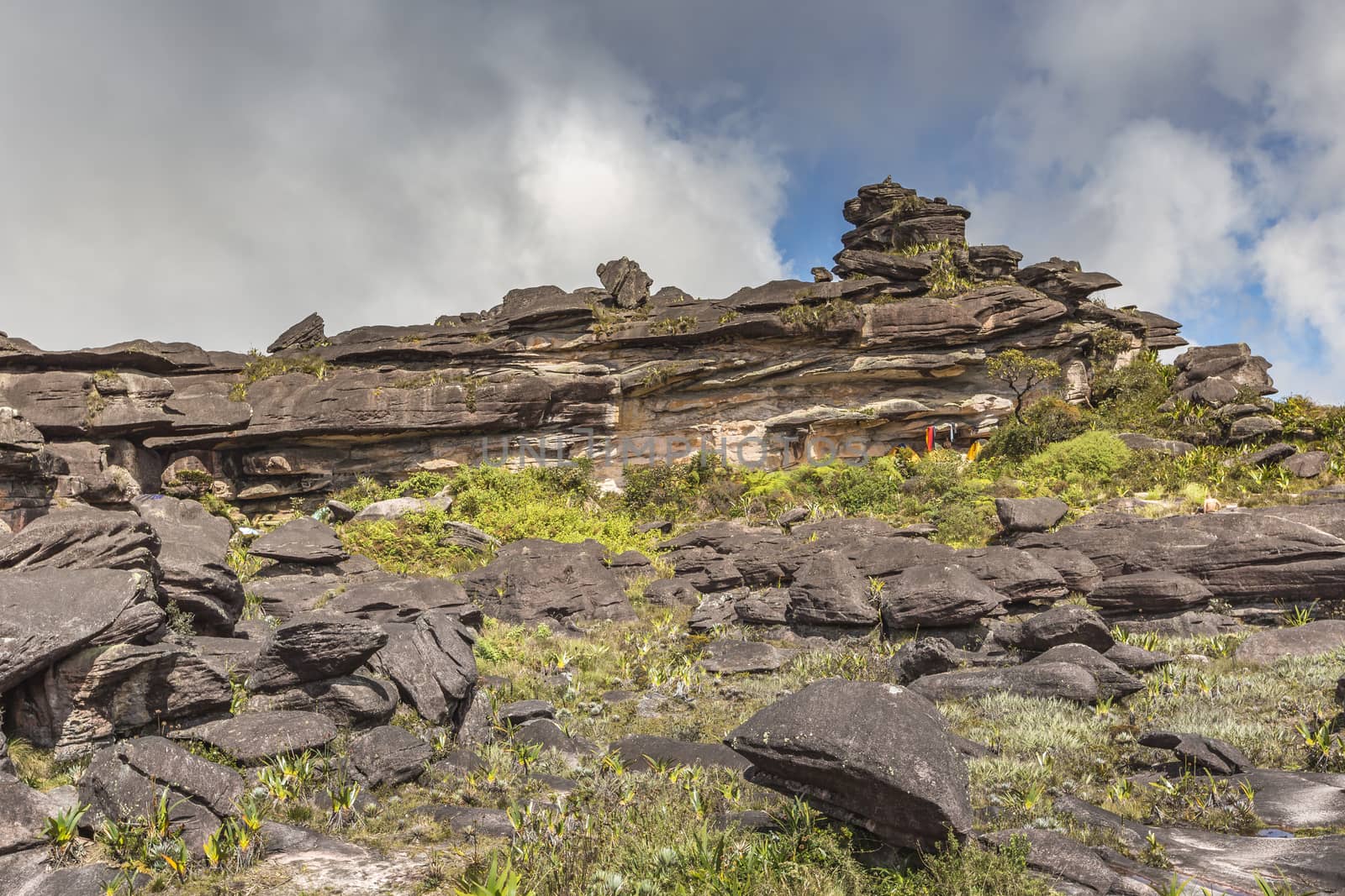 Bizarre ancient rocks of the plateau Roraima tepui - Venezuela,  by mariusz_prusaczyk