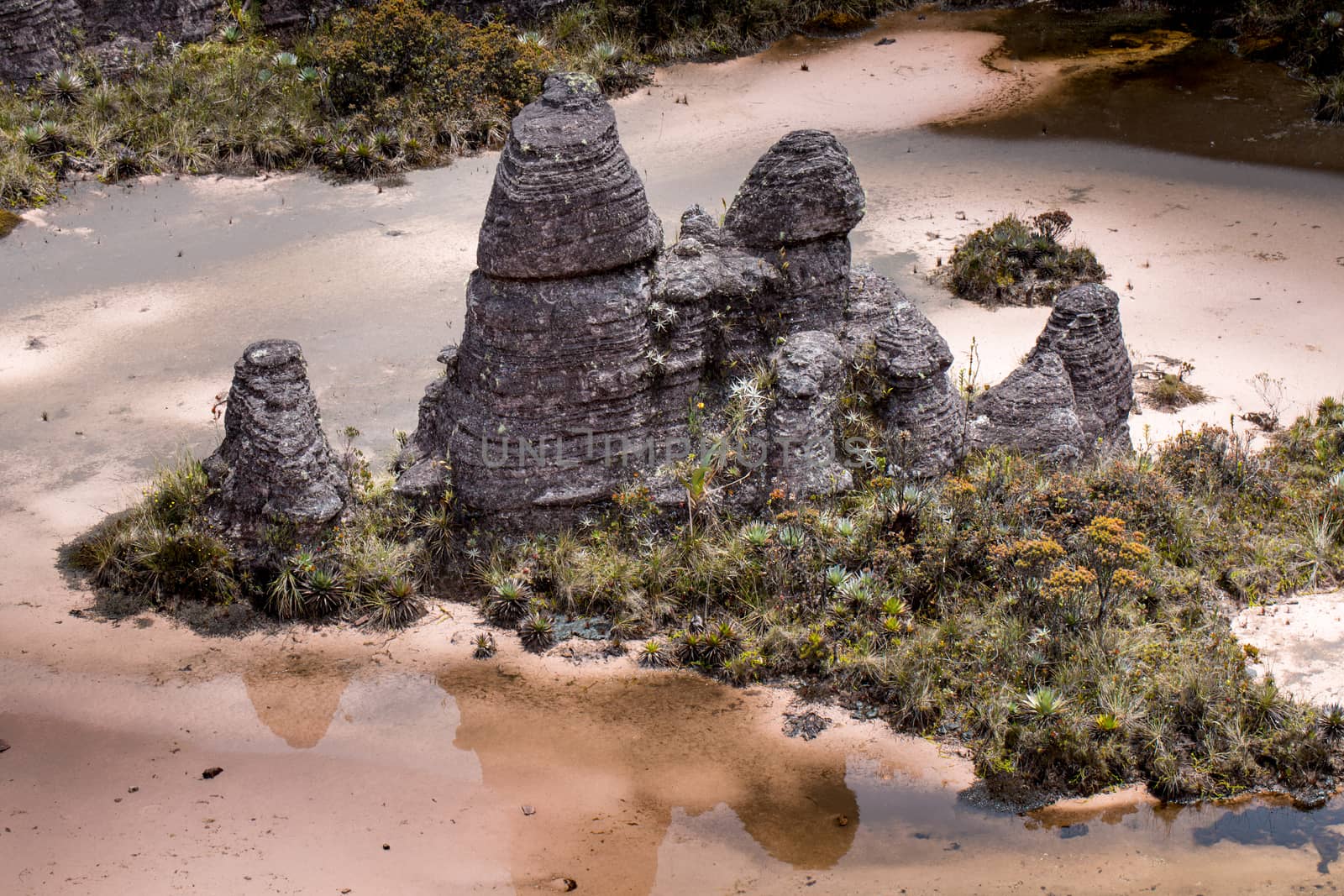 Bizarre ancient rocks of the plateau Roraima tepui - Venezuela, Latin America 