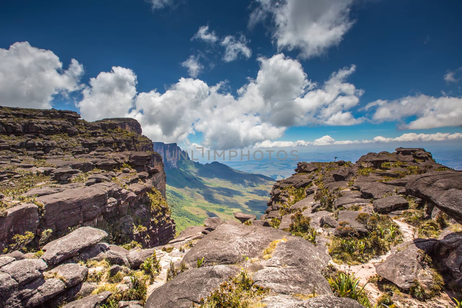 The view from the plateau of Roraima on the Grand Sabana - Venezuela, Latin America  by mariusz_prusaczyk