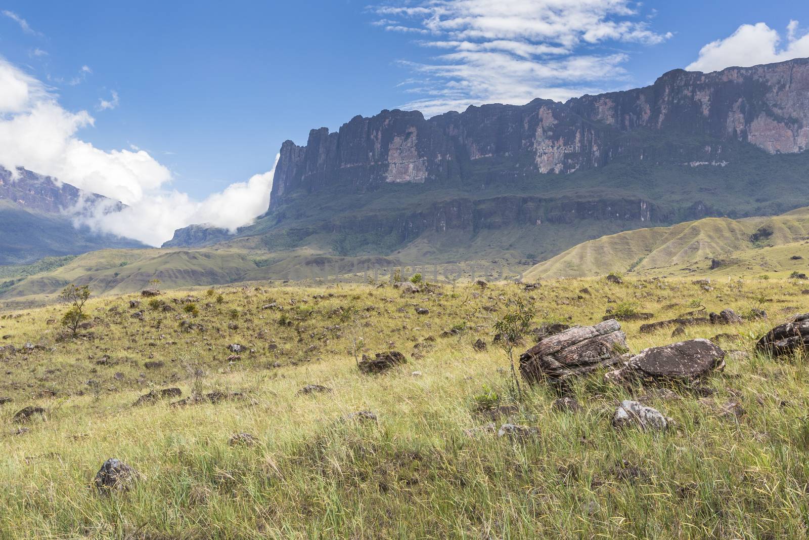 Tablemountain Roraima with clouds, Venezuela, Latin America. by mariusz_prusaczyk