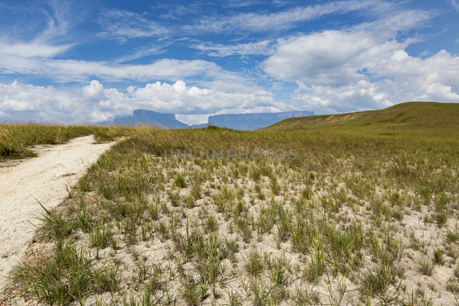 Track to Mount Roraima - Venezuela, South America by mariusz_prusaczyk