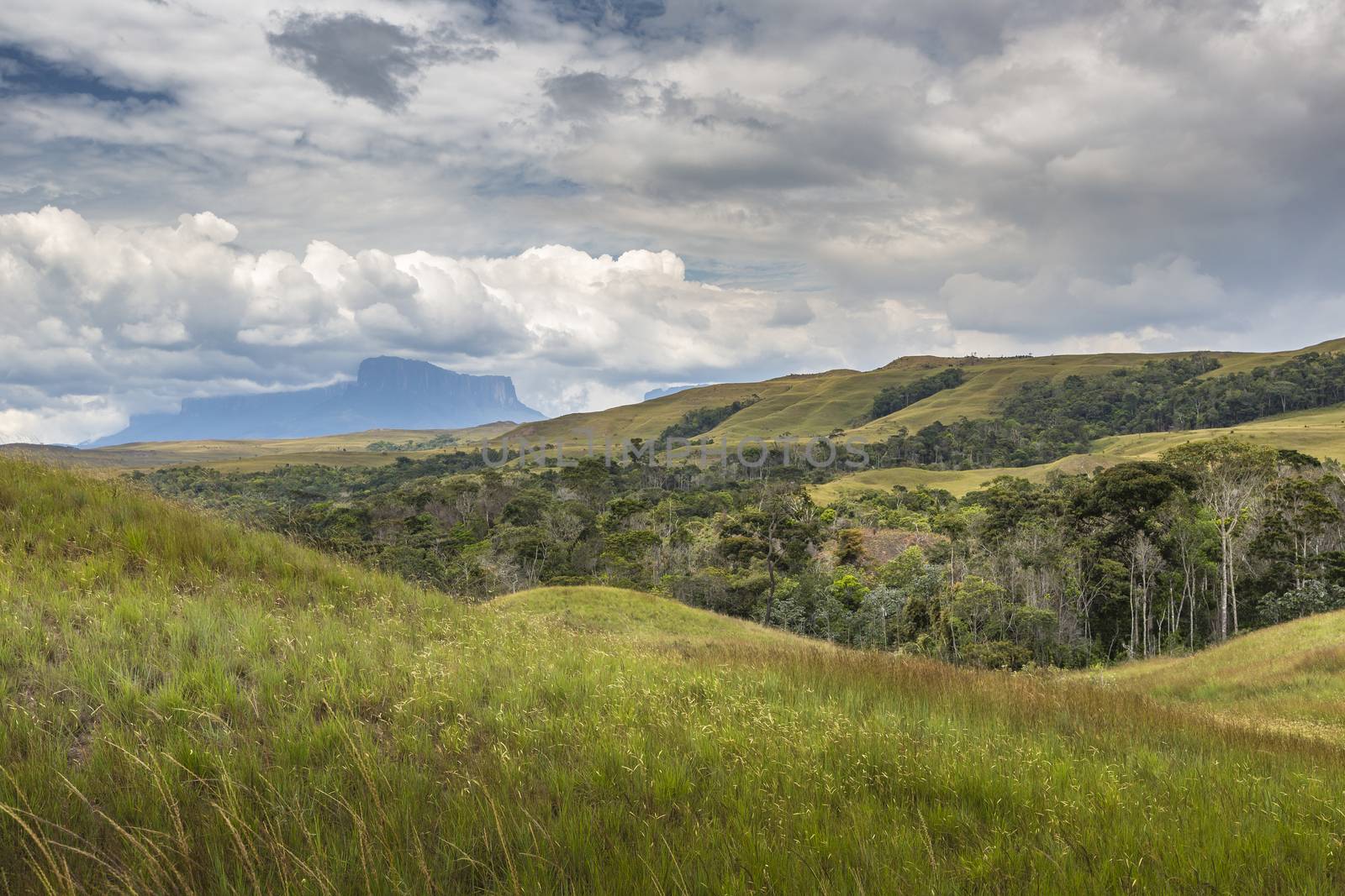 Tablemountain Roraima with clouds, Venezuela, Latin America. by mariusz_prusaczyk