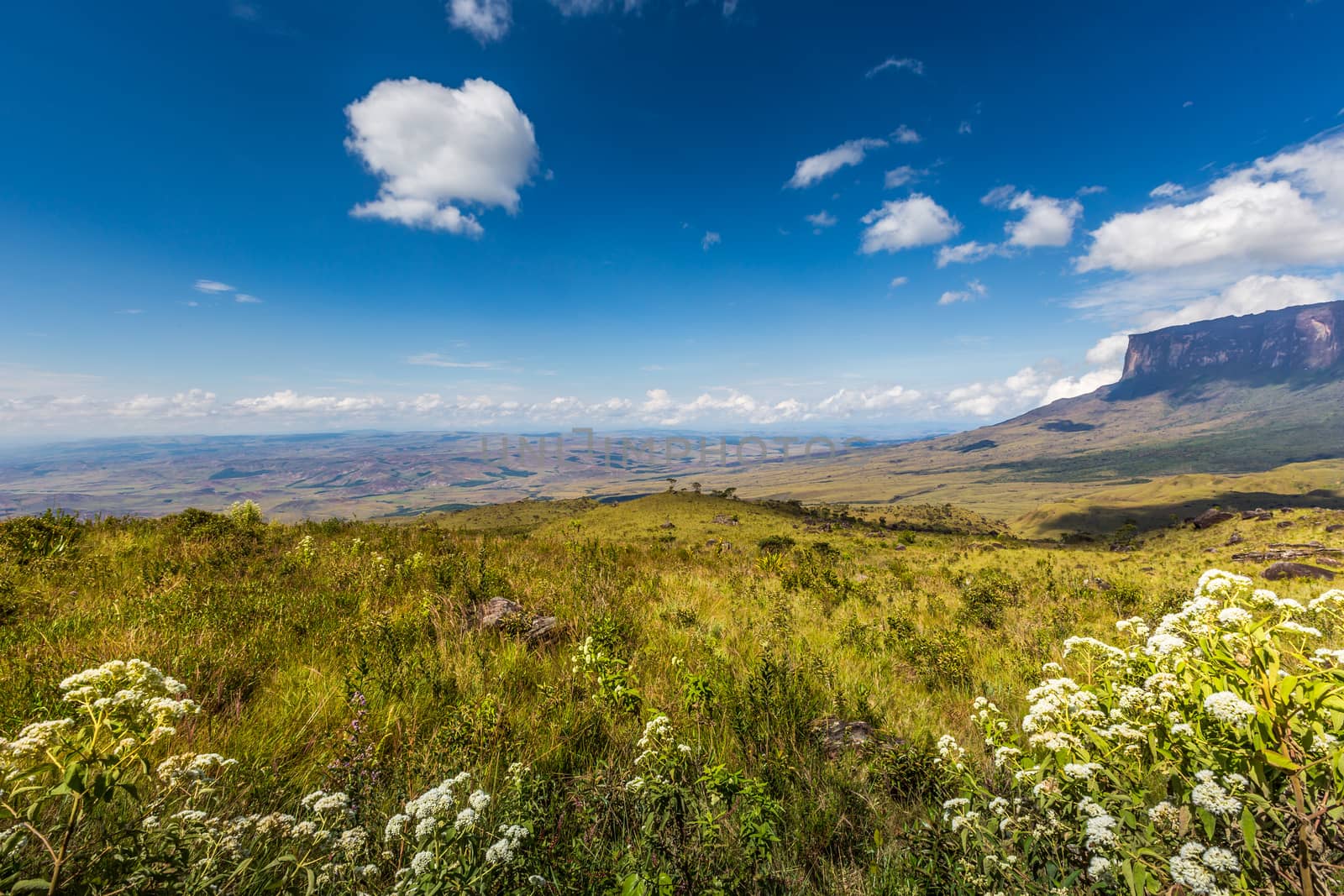 The view from the plateau of Roraima on the Grand Sabana - Venezuela, Latin America  by mariusz_prusaczyk