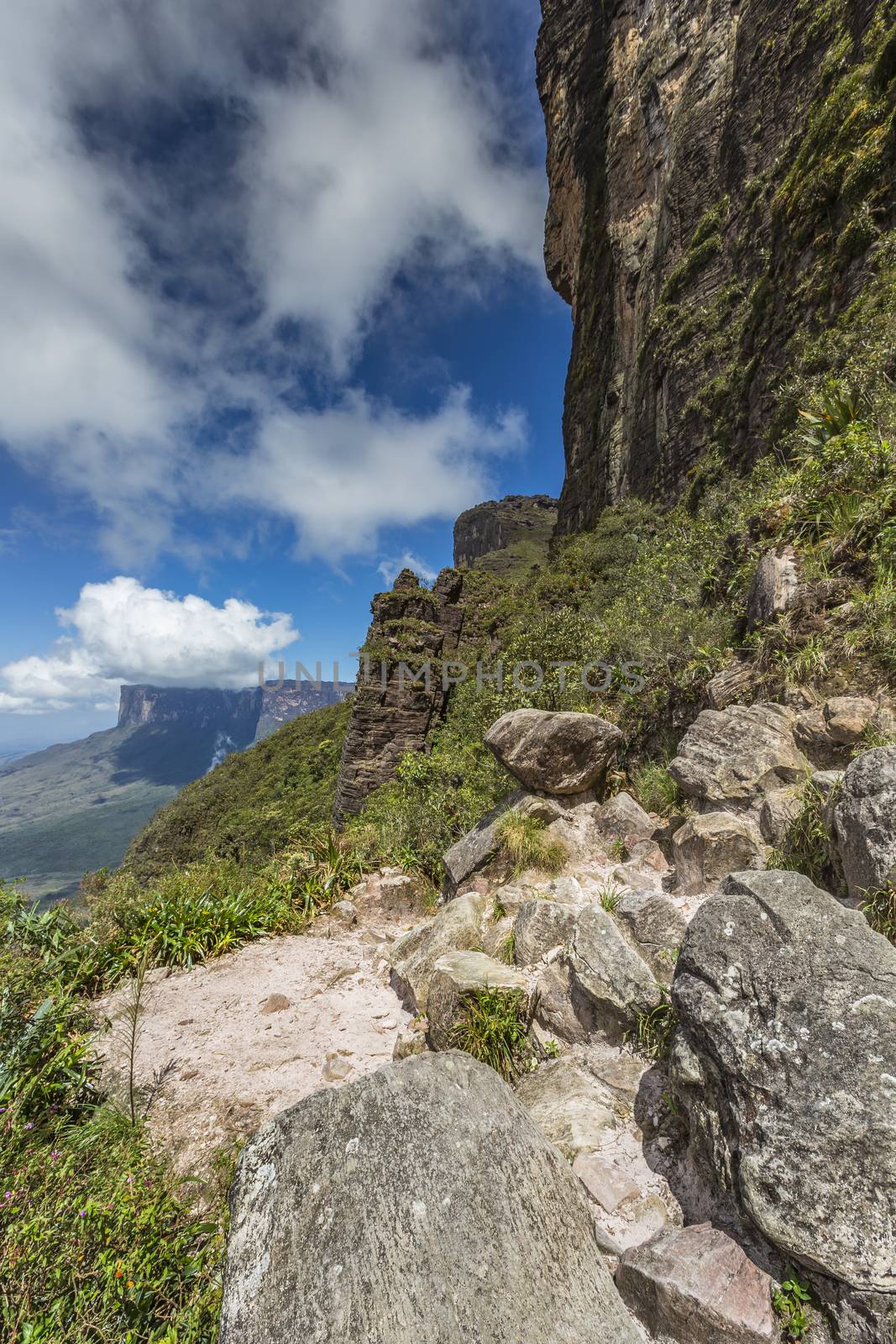 View from the Roraima tepui on Kukenan tepui at the mist - Venezuela, South America