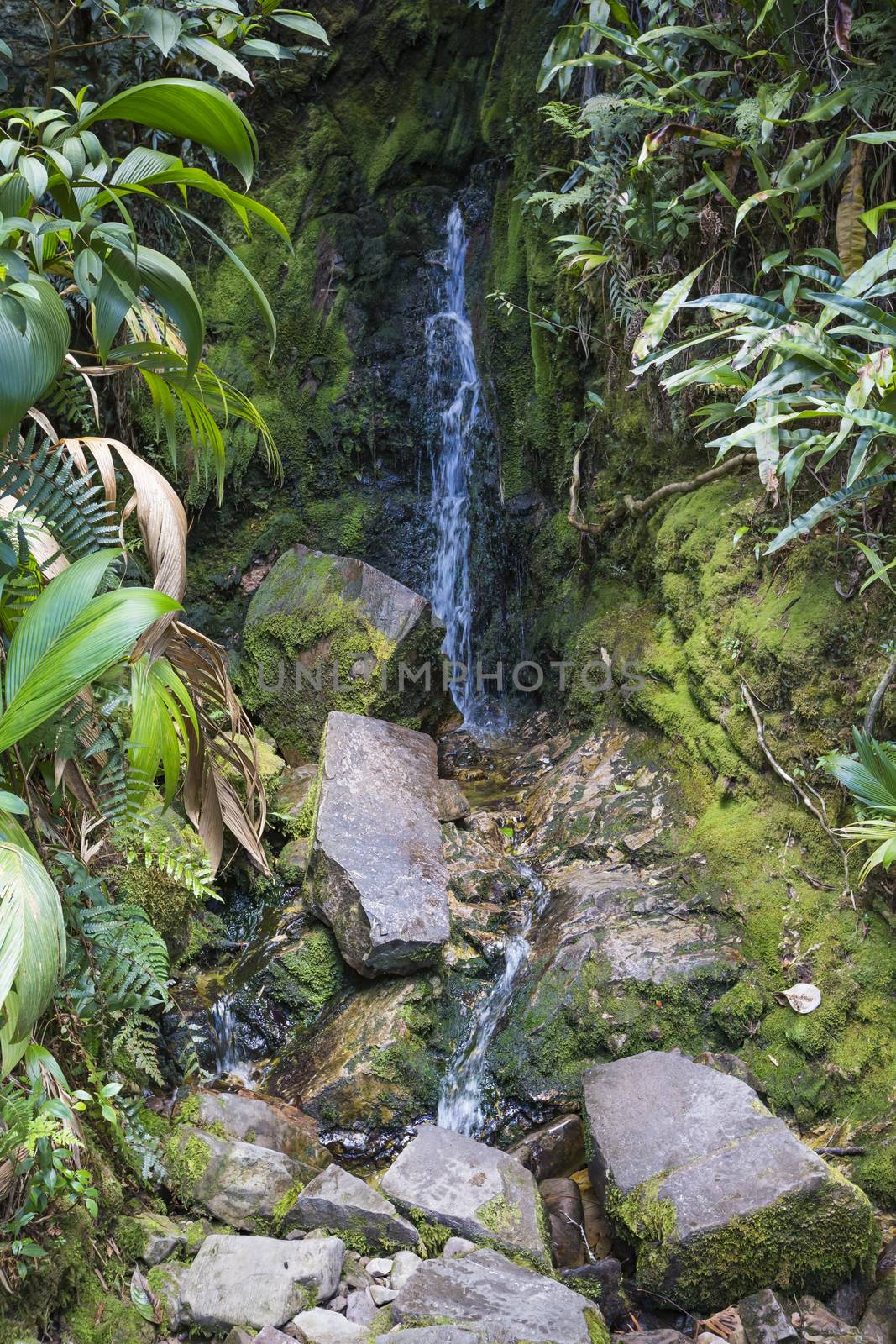 Stream from Mount Roraima in Venezuela

