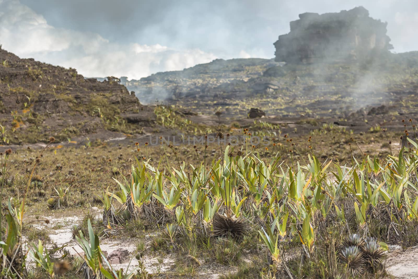 Bizarre ancient rocks of the plateau Roraima tepui - Venezuela, Latin America