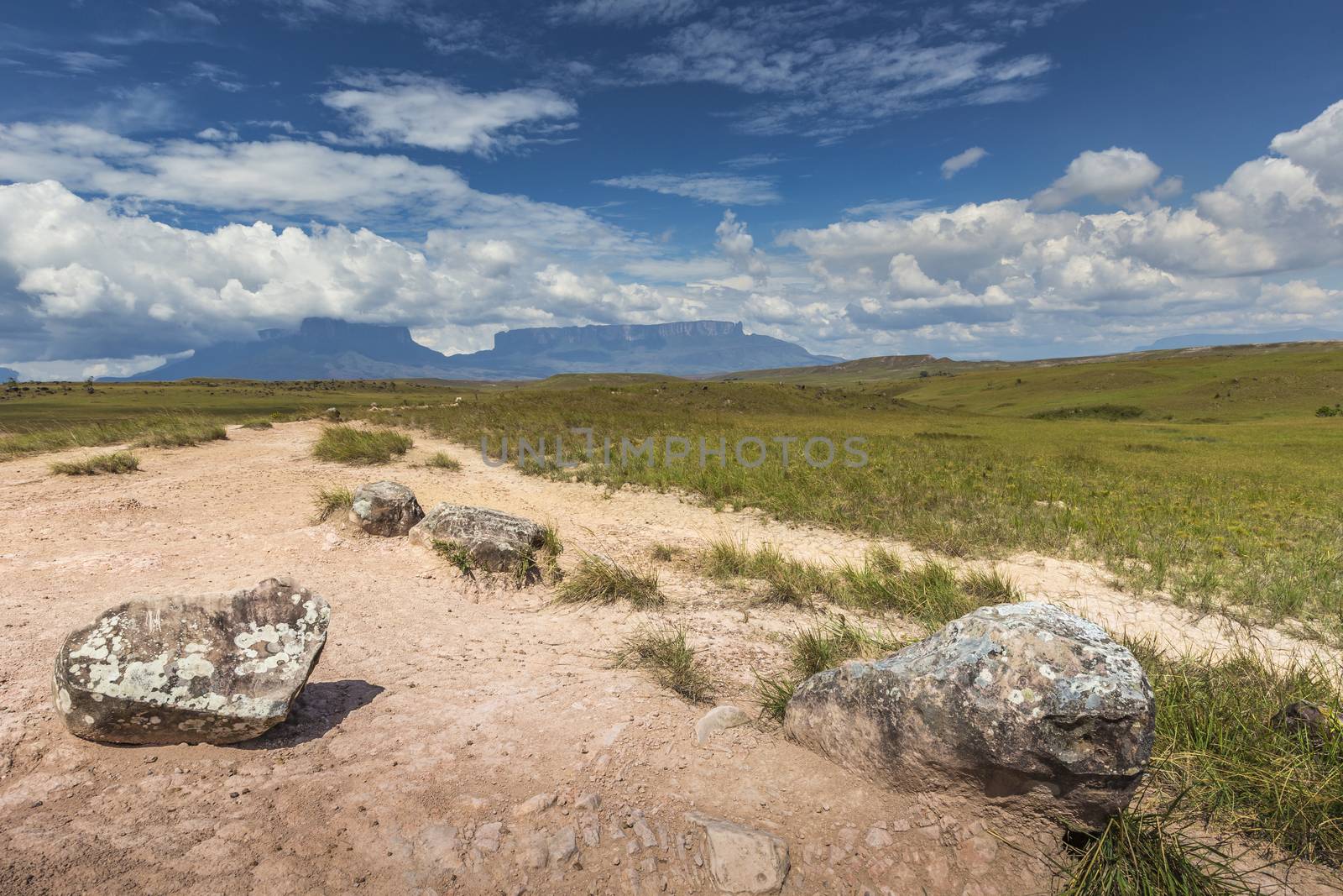 Track to Mount Roraima - Venezuela, South America