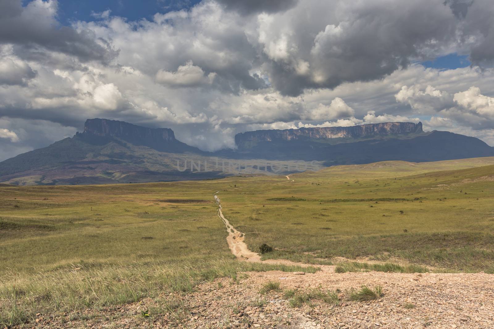 Track to Mount Roraima - Venezuela, South America by mariusz_prusaczyk