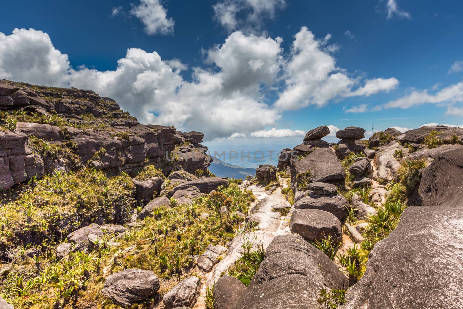 The view from the plateau of Roraima on the Grand Sabana - Venezuela, Latin America  by mariusz_prusaczyk