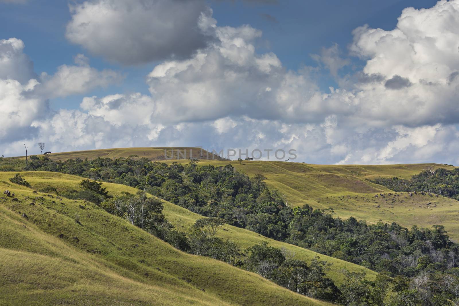 Beautiful landscape characteristic for the Gran Sabana - Venezue by mariusz_prusaczyk