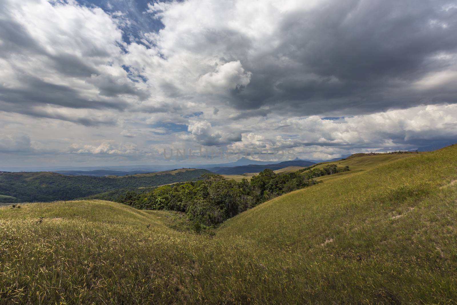 Beautiful landscape characteristic for the Gran Sabana - Venezue by mariusz_prusaczyk