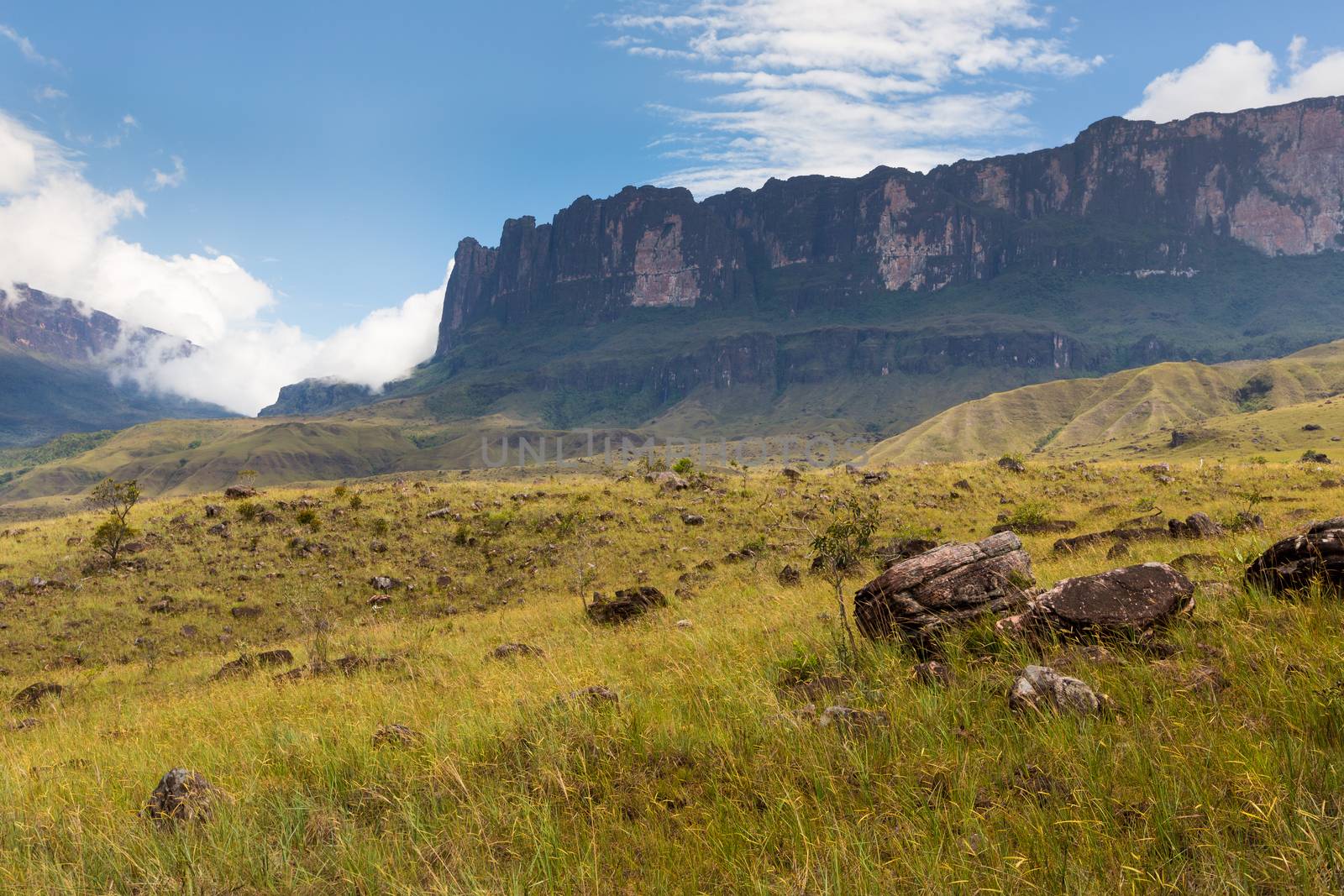 Track to Mount Roraima - Venezuela, South America  by mariusz_prusaczyk