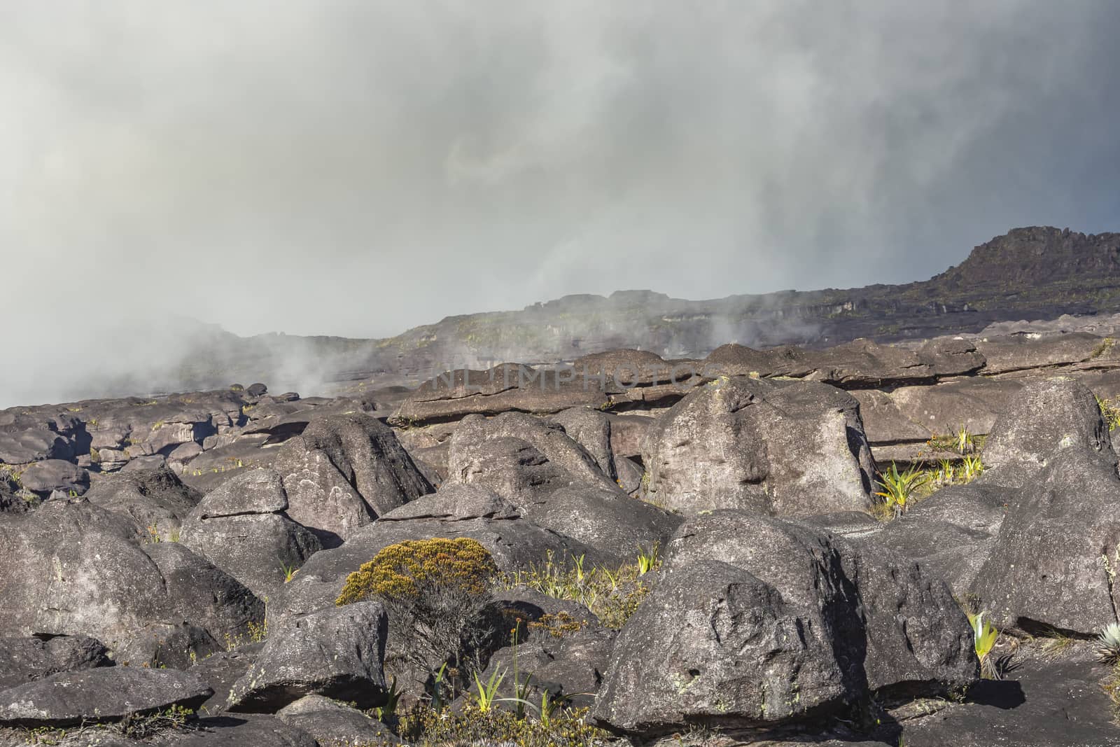 Bizarre ancient rocks of the plateau Roraima tepui - Venezuela, Latin America