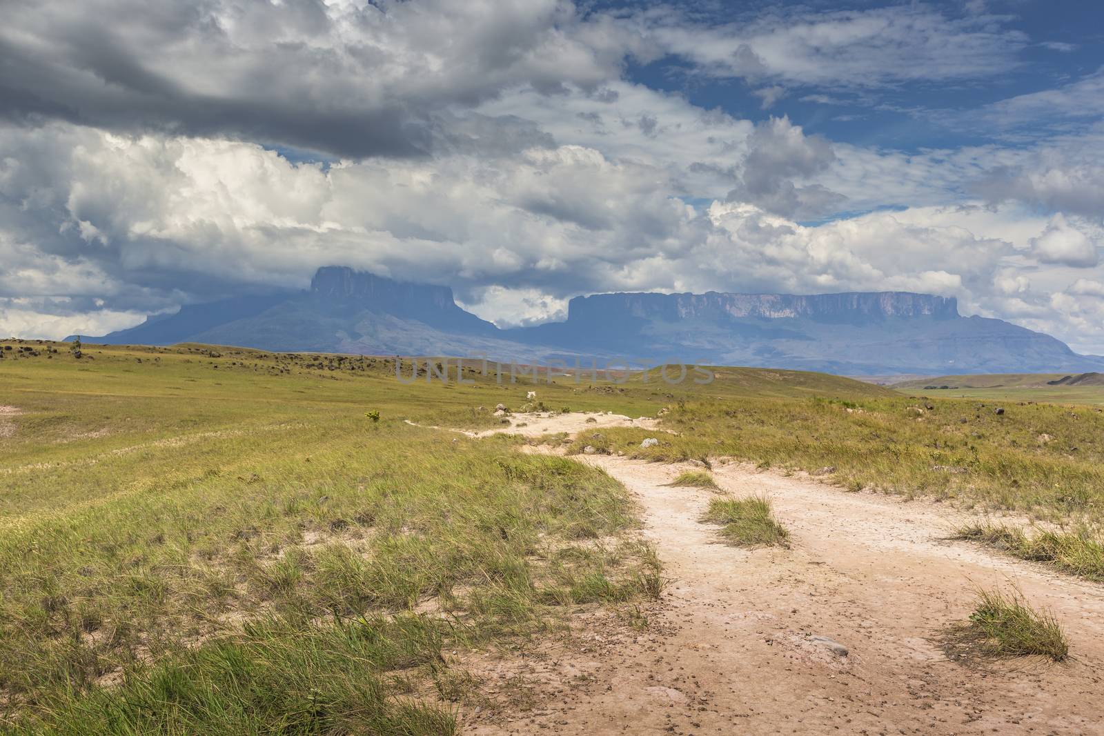 Track to Mount Roraima - Venezuela, South America