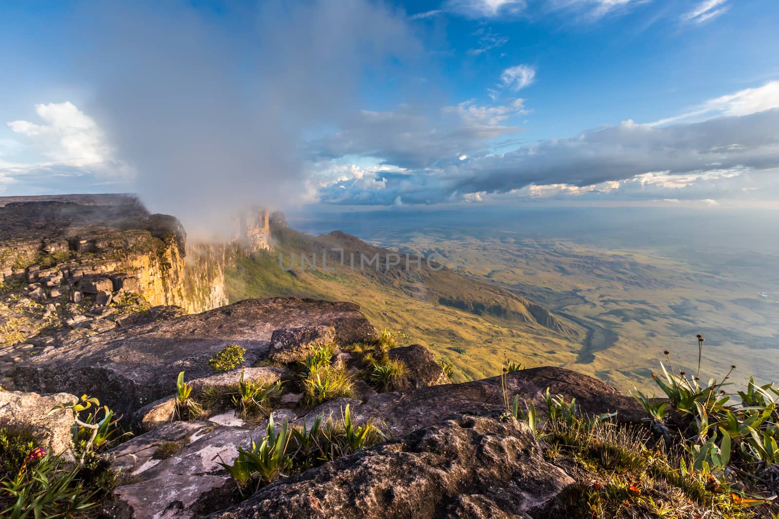 The view from the plateau of Roraima on the Grand Sabana - Venezuela, Latin America 