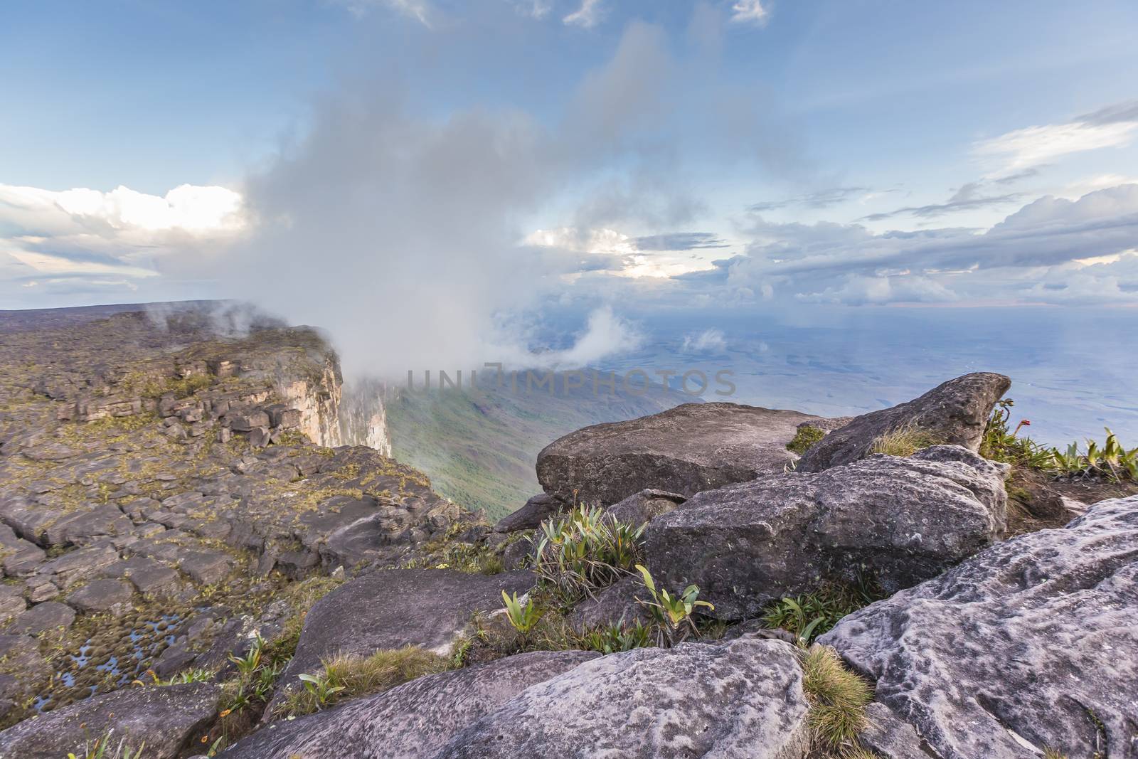 View from the Roraima tepui on Kukenan tepui at the mist - Venez by mariusz_prusaczyk