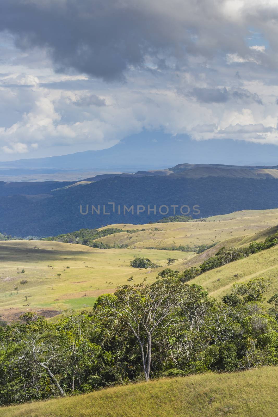 Beautiful landscape characteristic for the Gran Sabana - Venezue by mariusz_prusaczyk