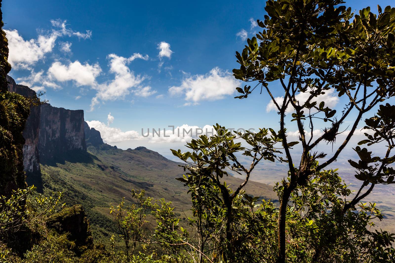 View from the plateau Roraima to Gran Sabana region - Venezuela, South America 