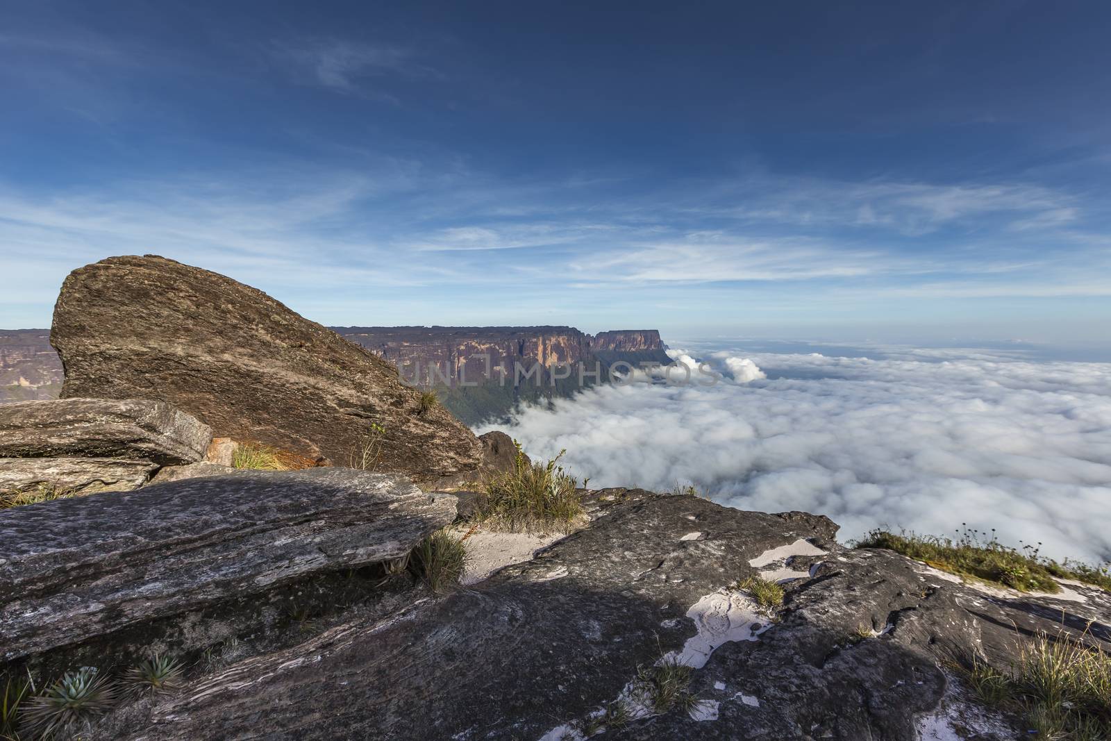 View from the Roraima tepui on Kukenan tepui at the mist - Venez by mariusz_prusaczyk