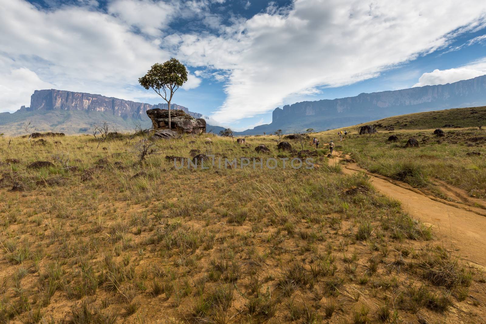 Track to Mount Roraima - Venezuela, South America  by mariusz_prusaczyk