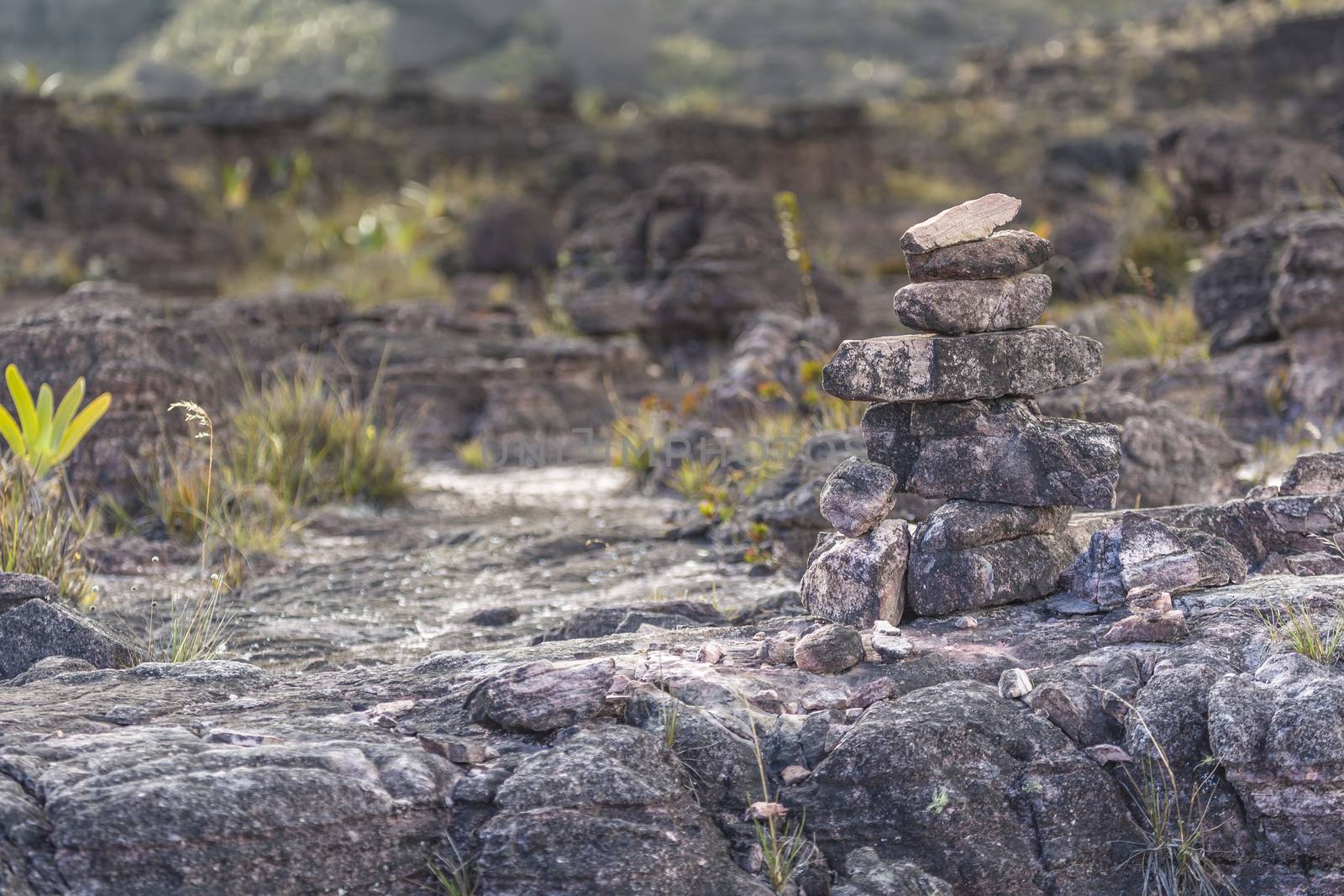 Bizarre ancient rocks of the plateau Roraima tepui - Venezuela, Latin America